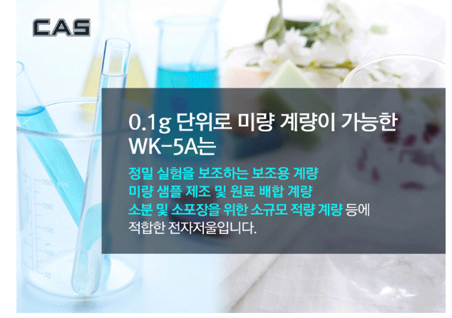 WK-5A 3.PNG